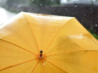 Парасолька на осінь: як вибрати таку, що не зламається від сильного вітру