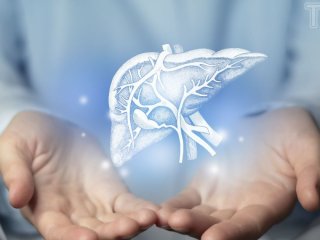 В якому органі накопичується найбільше жиру та чим це загрожує: приголомшливі факти