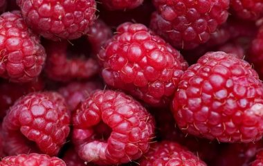 Без вреда для фигуры: какие продукты уменьшают уровень стресса