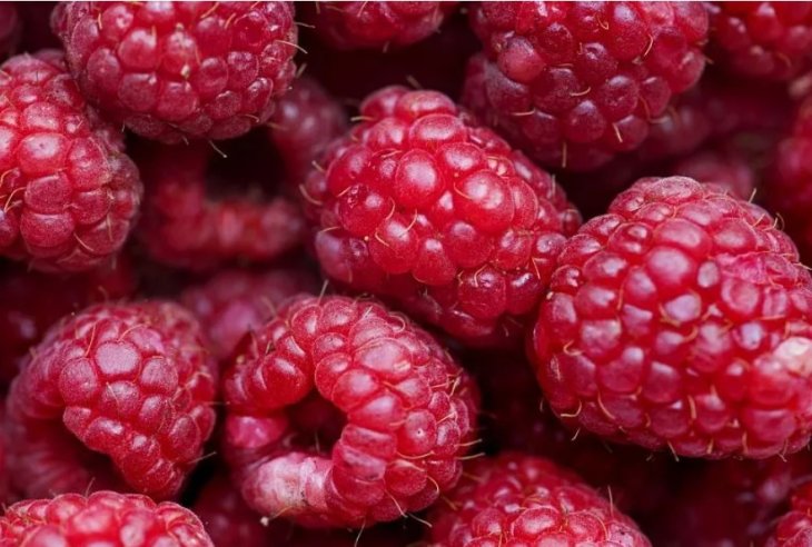 Без вреда для фигуры: какие продукты уменьшают уровень стресса
