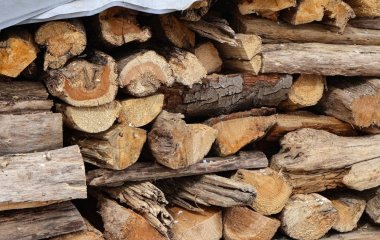 Це точно не для опалення: лісник назвав дрова, які руйнують тепло у будинку