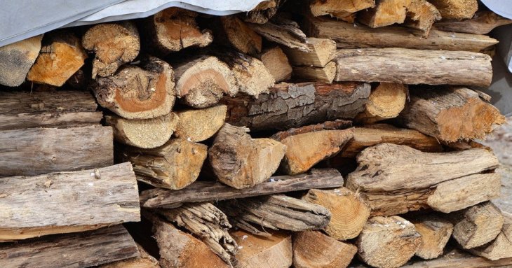 Це точно не для опалення: лісник назвав дрова, які руйнують тепло у будинку
