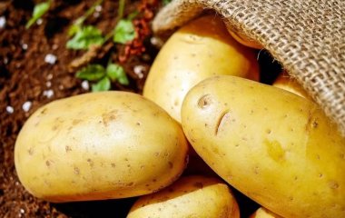 Картопля та помідори можуть нашкодити здоров'ю. Попереджають дієтологи
