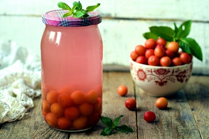 Рецепты консервирования алычи