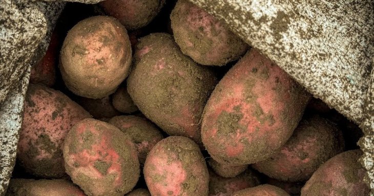 Чи допомагає яблуко в мішку з картоплею: що потрібно знати про популярний трюк