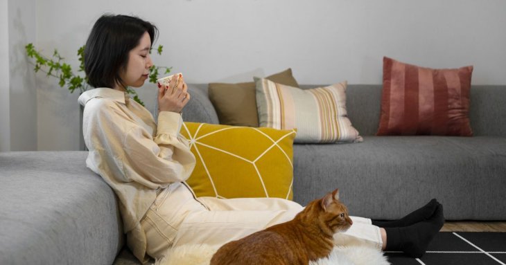 Чому у квартирах японців завжди ідеальна чистота, хоча вони дуже рідко прибирають