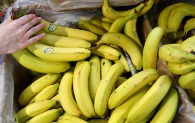 Вчені розповіли про дивовижну дію бананів на організм