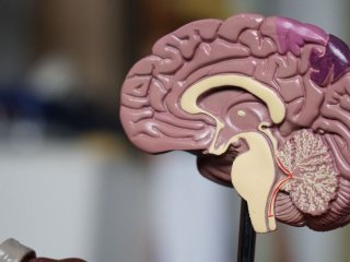 Деменція ропочинається непомітно: 7 симптомів, які не можна ігнорувати