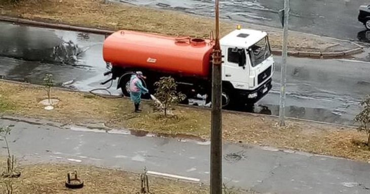 Навіщо комунальники поливають кущі та дерева на дощ