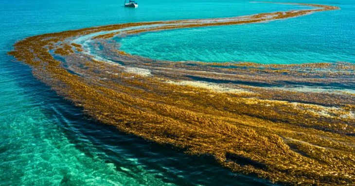 У світі існує море без берегів: і воно стрімко змінюється
