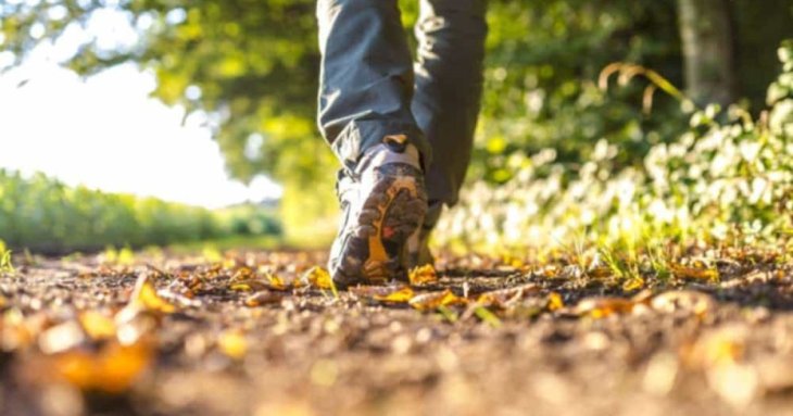 Як схуднути з задоволенням: один з найприємніших видів фізичної активності, який спалює жир
