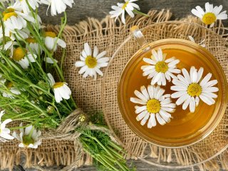 Хватит одной чашки: напиток, который поможет уснуть и укрепить сон