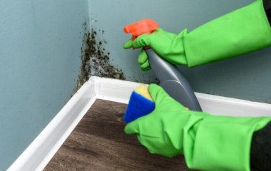 Как избавиться от плесени: три способа, реально работающих
