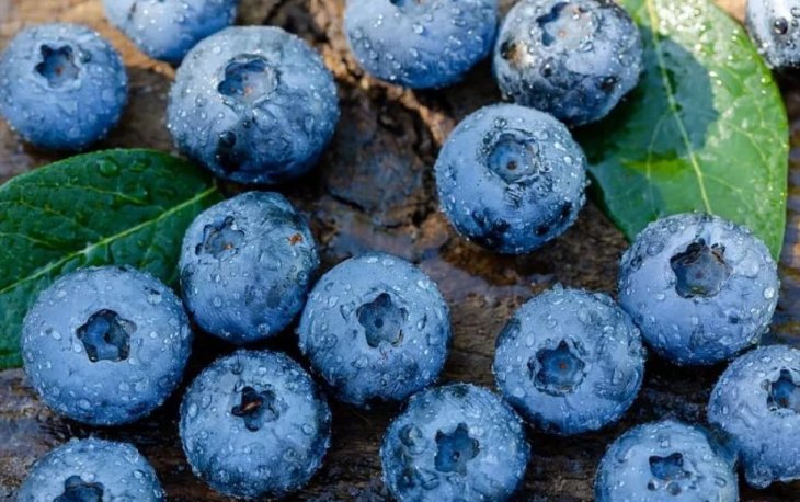 5 продуктів, які уповільнюють старіння