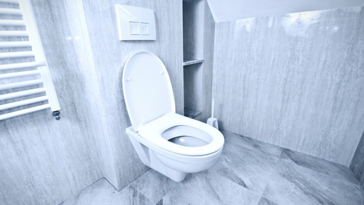 Як очистити унітаз від нальоту: ТОП-5 ефективних способів