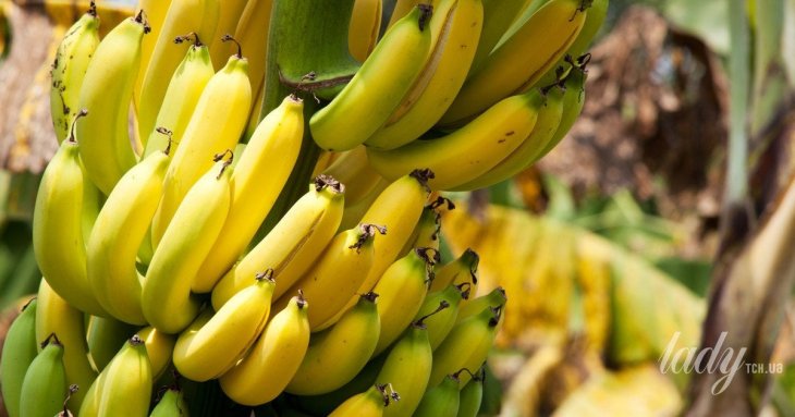 Йод: в яких продуктах є і навіщо він потрібен організму