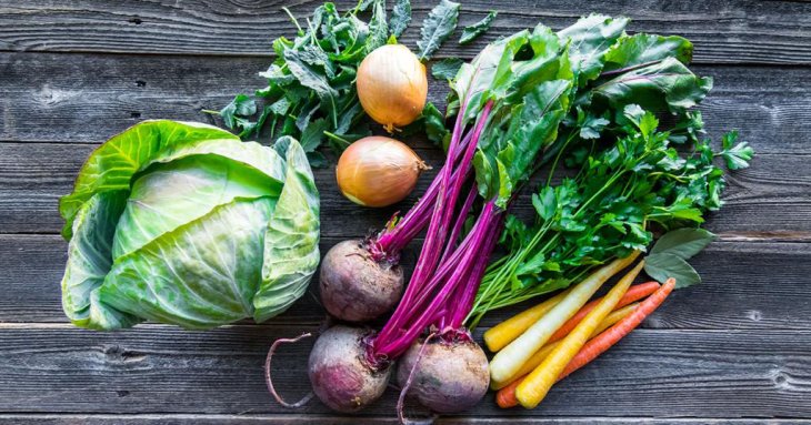 Видовое питание человека: необходимые продукты, правила и рекомендации специалистов