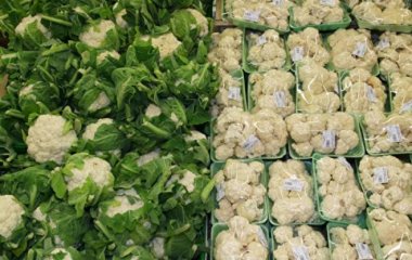 Вчені знайшли поєднання продуктів для боротьби з раком товстої кишки