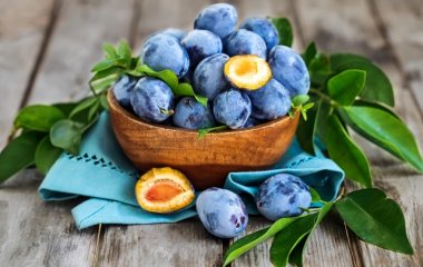Опасные свойства слив: кому нельзя есть фрукт