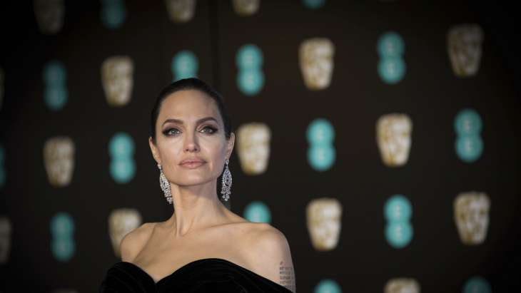 Анджелина Джоли прилетела в Прованс в костюме пасечника