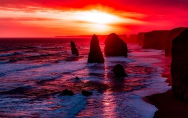 На пляжі знайшли моторошну істоту, схожу на морського динозавра: фото