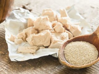 Специалисты рассказали, почему дрожжи опасны для организма