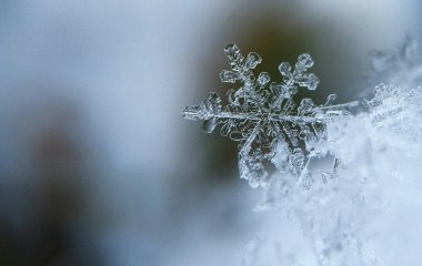 День ангела 15 грудня: кого та як вітати з іменинами