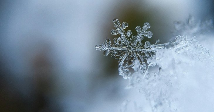 День ангела 15 грудня: кого та як вітати з іменинами
