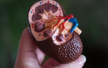 Вчені знайшли зв'язок між міастенією та раком