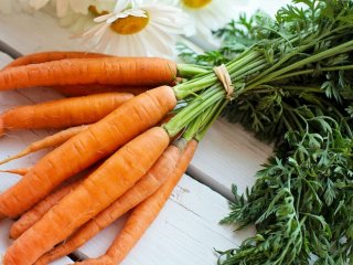 5 причин почему нужно есть больше моркови