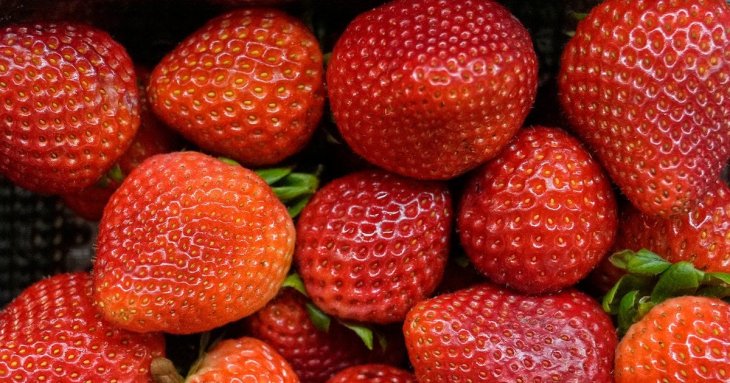 Як полуниця впливає на організм: топ корисних властивостей, про які ви не знали