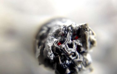 Онкологи назвали единственную вещь, которая снизит риск рака легких
