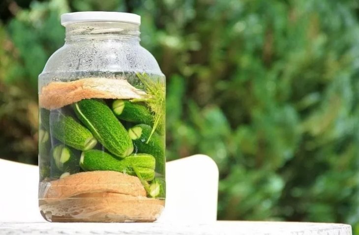 Дешевый продукт, который эффективно очищает кровь от токсинов