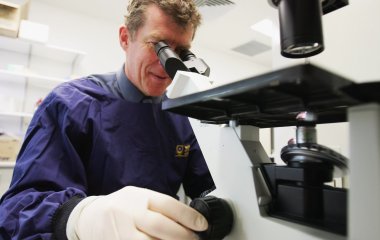 Спалах стійкого до лікування смертельного грибка виявили у США