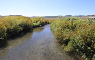 Нога чоловіка збільшилася вдвічі після плавання у водоймі — що з ним сталося