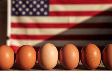 Яйця в США настільки подорожчали, що американці на Великдень фарбують картоплю