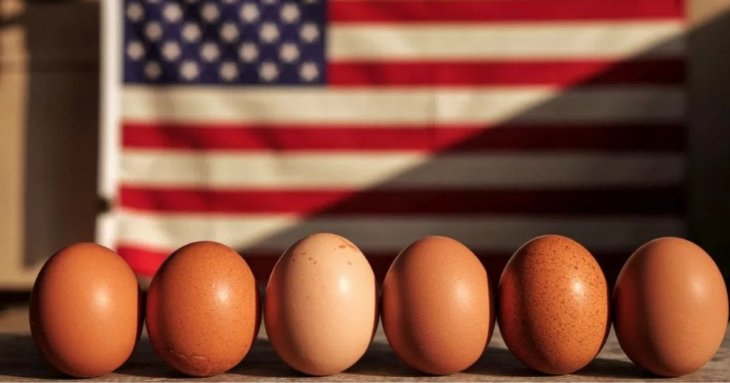 Яйця в США настільки подорожчали, що американці на Великдень фарбують картоплю