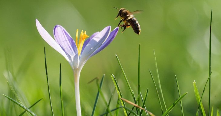 День ангела 18 квітня: кого та як вітати з іменинами