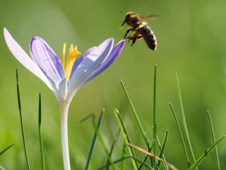 День ангела 18 квітня: кого та як вітати з іменинами