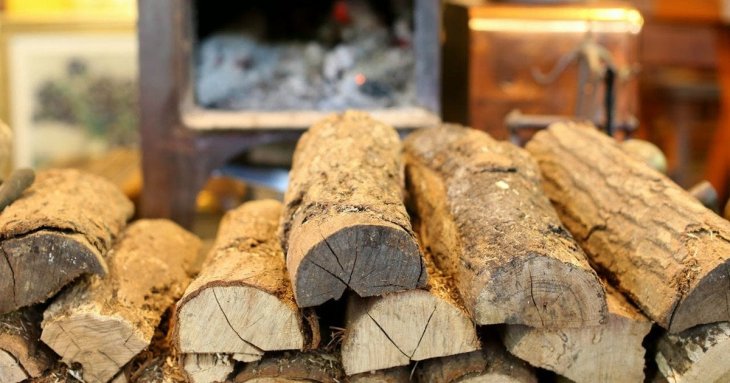 Які дрова не можна палити вдома: ці види не зігріють і знищать здоров’я
