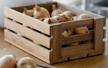 Як зберігати цибулю на зиму: три помилки, через які урожай не долежить до весни