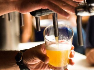 Що станеться з організмом, якщо пити пиво щодня