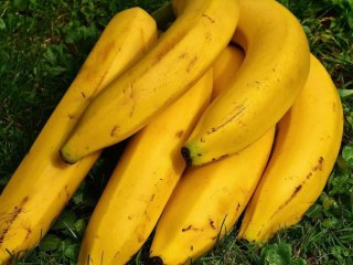 Не кладіть їх разом: експерти розповіли, яке сусідство псує свіжі банани за одну ніч
