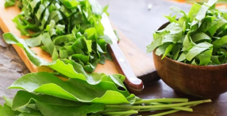 Как заготовить щавель на зиму за 10 минут: самый простой способ