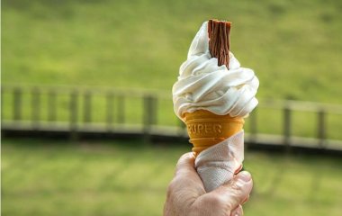 Медики назвали болезнь, которую поможет выявить мороженое