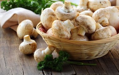 Лікар розповіла про користь грибів для душевного здоров'я
