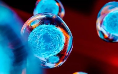 Фізики та математики розрахували, як віруси розподіляються у клітинах