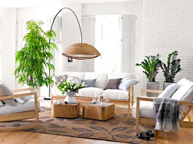 Как не испортить интерьер комнатными растениями?