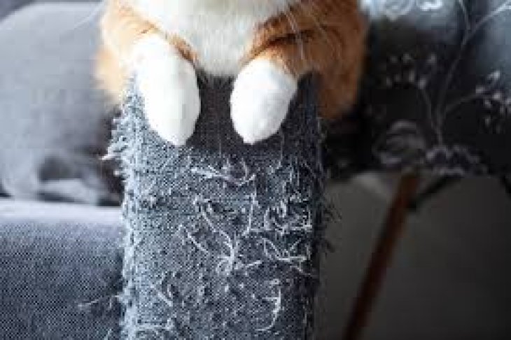 Как защитить мебель от когтей кота: практическое руководство для дома