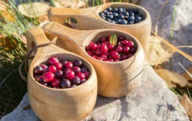 Фітотерапевт перерахував лікарські властивості брусниці